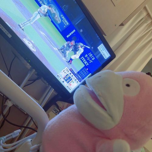 新しい趣味みつけた⚾️

がんばれ〜〜🌵