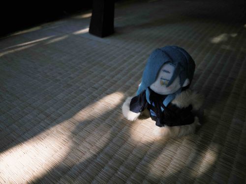 こもれびって、きれいだよね
