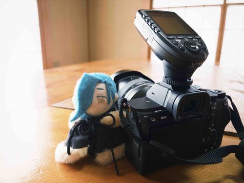 いいてんきで よかったねぇ