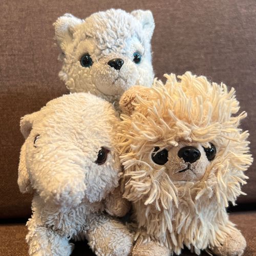 僕たち三人の日常を紹介するよ🐾
ぱお・ぽめ・うる