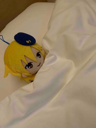 まだ眠いぞ💤