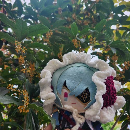おにわのきんもくせいがさきそうです。
