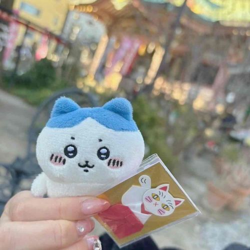 縁結びの神社行ってきたよ〜
おみくじ大吉だったよ〜