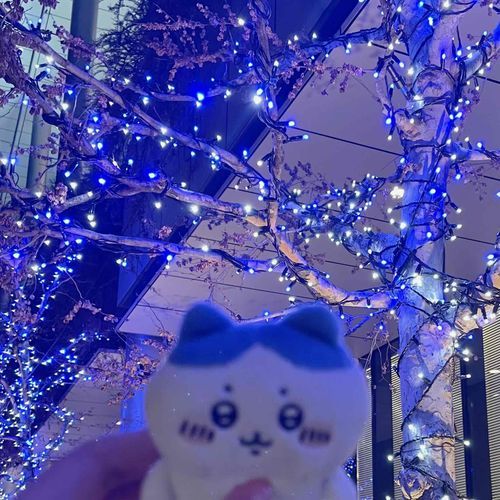 よかったね。キラキラだよ。