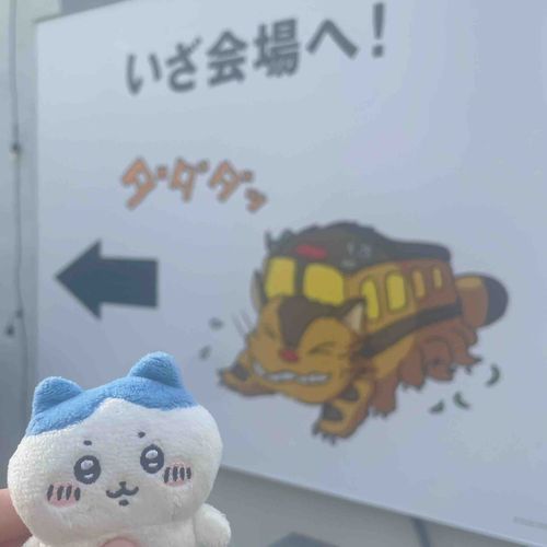 ジブリ展行ってきた！ネコバスふかふかだった！