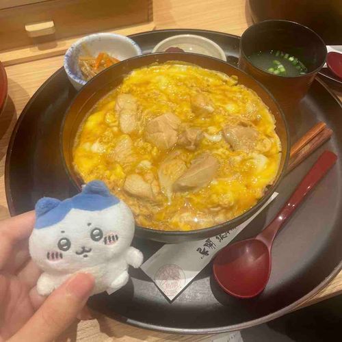 親子丼おいしかったよ