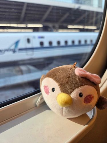 少しずつですが過去の旅を上げていこうかと思います(*ˊ˘ˋ*)

大阪へ向かった時のいちまい。
すずちゃんと一緒の度はこれが初めてでした


2025.12