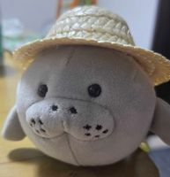 あざらし