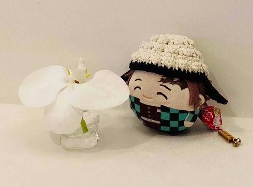 🌸綺麗ですね