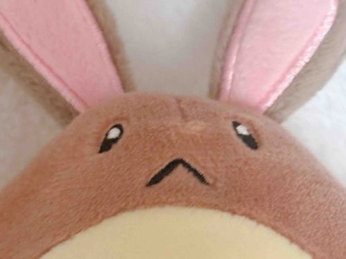 オはタチ☀️

きのうは　いいねを　ありがとう🤎
いいねを　くれた　みんなのこと
ﾌｫﾛｰしても　いいかな？

オタちゃんと　おともだちに
なってくれる子が　いたら
きがるに　ﾌｫﾛｰや　ｺﾒﾝﾄ
くれたら　うれしいな🥰

オタちゃん　むくち　だけど
がんばって　おてがみ　かくね！