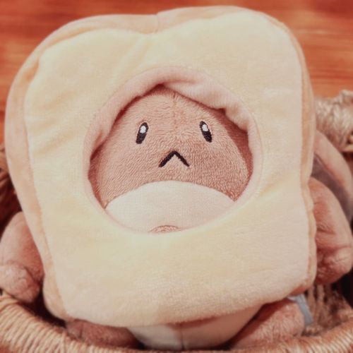 みんな　おひさしぶり🤎
オタちゃん　です。
パンに　なっちゃっタチー！