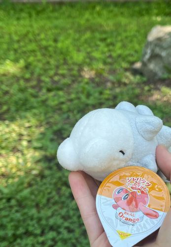 いいピクニック日和だったね☀️