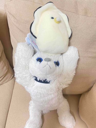 新しく牡蠣の赤ちゃんが家族になったんだぞ！！僕もやっとお兄ちゃんだ！