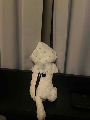 カッパ着て雨のお散歩したいアピールしたのにお外出して貰えなかった……