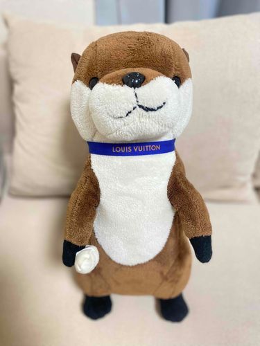 僕はかわいくんです。フェリペのお兄ちゃんです。お口が曲がってるのがチャームポイント…(  '֊' )‪
ママが抱きしめすぎて詰まってたお腹がふかふかになってきたよ。