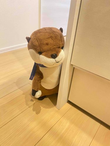 かわいくんです。キッチンから美味しそうな匂いがしていますが……僕のぶんはあるのかなぁ…？