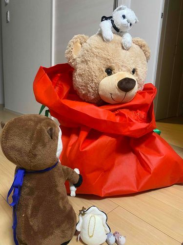 ぱぱがビンゴ大会から救ってきたんだって〜
新しい家族だぁ〜