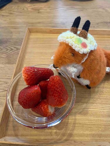 飼い主にかわいいぼうしを編んでもらったの！