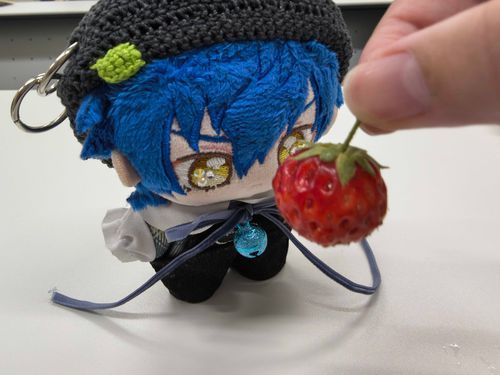いちごだよ🍓𓈒𓏸