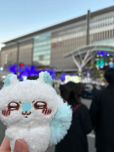 博多駅ももんが