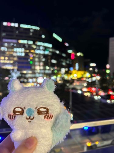 2階ももんが