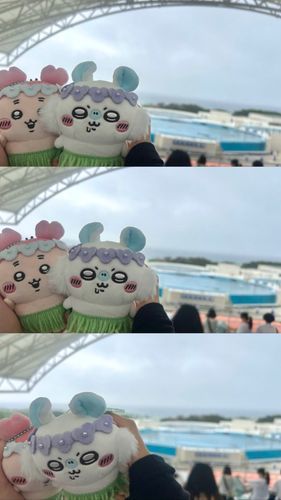 水族館デートだね