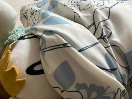 🐬布団ｶﾗ出ﾚﾈｴ、ｼﾞｬﾈｴﾝﾀﾞﾖ。ｱｯﾀｹｴｹﾄﾞ。