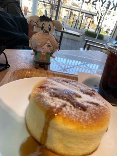 🐉ｾﾝｾﾔｯﾀﾗ ｲｹﾙｯﾃ。
🍵いや！人任せにしな、隠れない！！