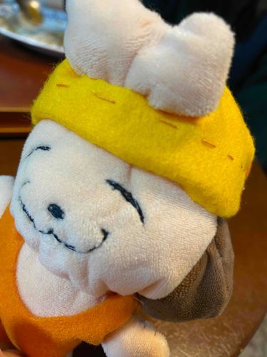 ぼうし、あたらしいやつ！