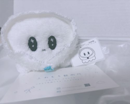 観測記録