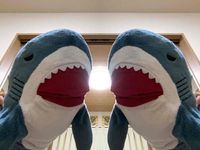 もぐ