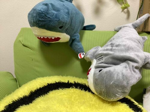 もぐの友達がまた更に
手にシールを貼ってしまった､､､
こんな近い距離でもまだもぐは気づいていない､､､