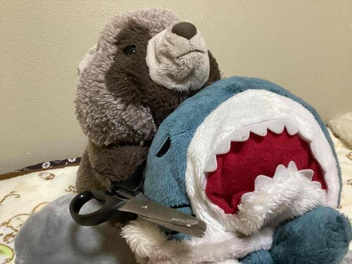 もぐは空手に行ってるんだけど
たぬきのライバルのぬうっていうやつに
いつも殺されそうになるんだ😱でも無傷w