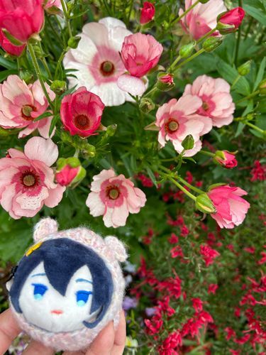 きたの　おとももちのみな
だいじょうぶか？
あるじとはぐれないように
おちついて　こうどうするのだぞ