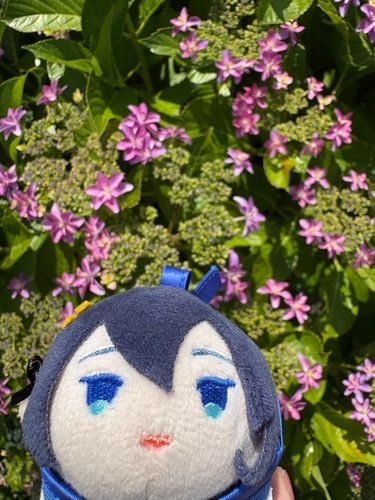 きゅうしゅうの
おとももち　
あるじと
はぐれたりしないよう
おちついてこうどうしような