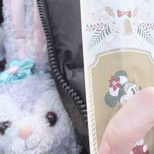 ステラルーとディズニーシーに行きました！
ルーには、いつも鏡とリップと櫛をお腹に入れてもらってます笑