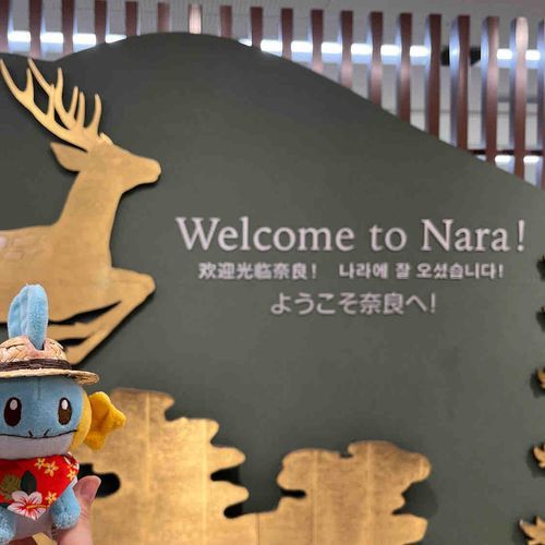 昨日写真🦌