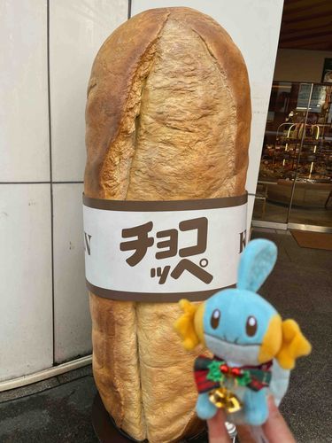 こんばんは🥖