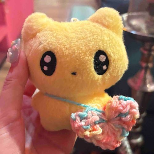 かめらまんしゃんがろんちにばっぐをつくってくれまちたᵒ̴̶-ᵒ̴̶⋆✦
いっぱいはいりそうでしゅね