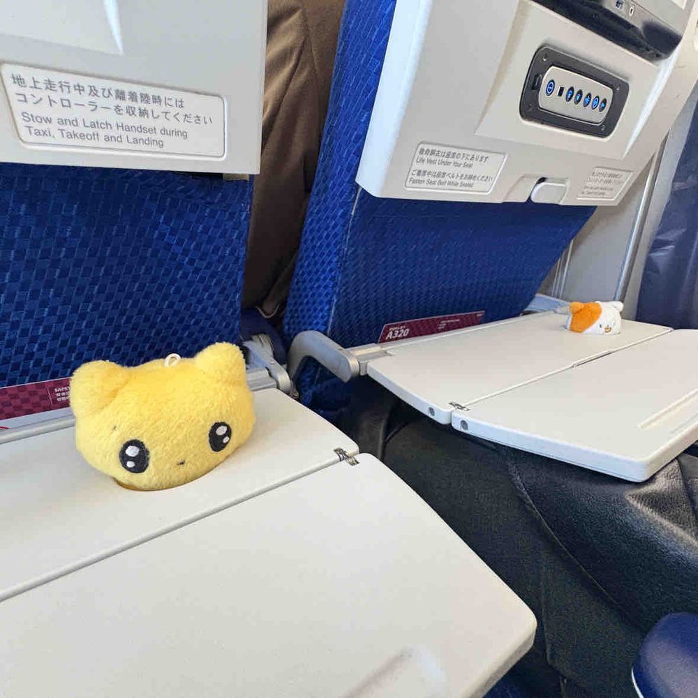 ひょっこりろんちᵒ̴̶-ᵒ̴̶でしゅ