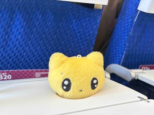ひょっこりろんちᵒ̴̶-ᵒ̴̶でしゅ