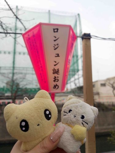 きょうは おれににたうたうまいやつのおたんじょうび！✨️いつもきらきらかわいくてかっこいいんだ〜( ฅ^ ._. ^ฅ )これからもたくさんおうたきけるといいな〜