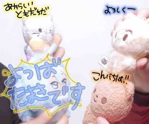 ぱんじゅんのアニキとかーくんとりっちゃんとはじめてごあいさつした！😎（ぱんじゅんのアニキみえてなかったからとりなおした）