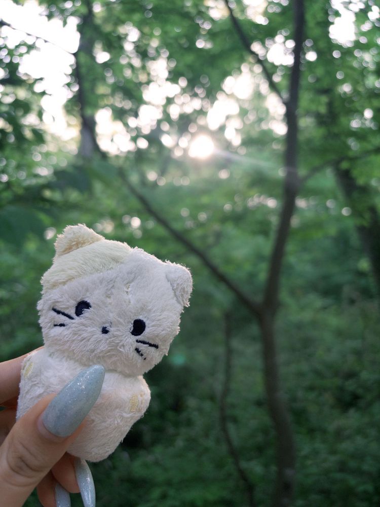だいしぜんさんさく🌱このきいろいおはな なんてなまえだろ？

