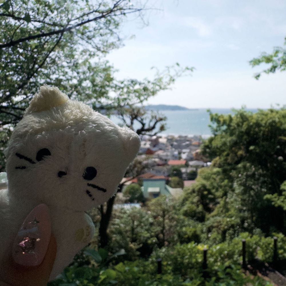 かまくらに おでかけしてきた🚃✨️
いちまいめ、「とんび」にさらわれないかひやひやしたぜ…💧‬いまのじきはかぜもここちよくて りふれっしゅにぴったりだな～