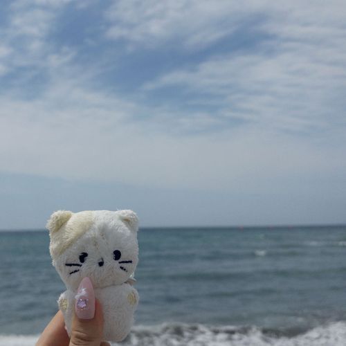 かまくらに おでかけしてきた🚃✨️
いちまいめ、「とんび」にさらわれないかひやひやしたぜ…💧‬いまのじきはかぜもここちよくて りふれっしゅにぴったりだな～