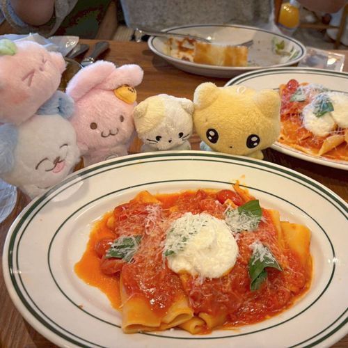おいしそーう🍅🍝✨️
かめらまんからみんなにききたいことがあって…おれがだいりでしつもん！
たっくさん「ふわもこ」のおともだちがいるときって、どうやっておでかけのめんばーきめてる？
おれたちがじぶんでおでかけできたらいいんだけどな～( ฅ^ ._. ^ฅ )
あんまりたくさんでおでかけすると、なくしちゃったりしそうでこわいっていってて、ちょっときになったんだ～