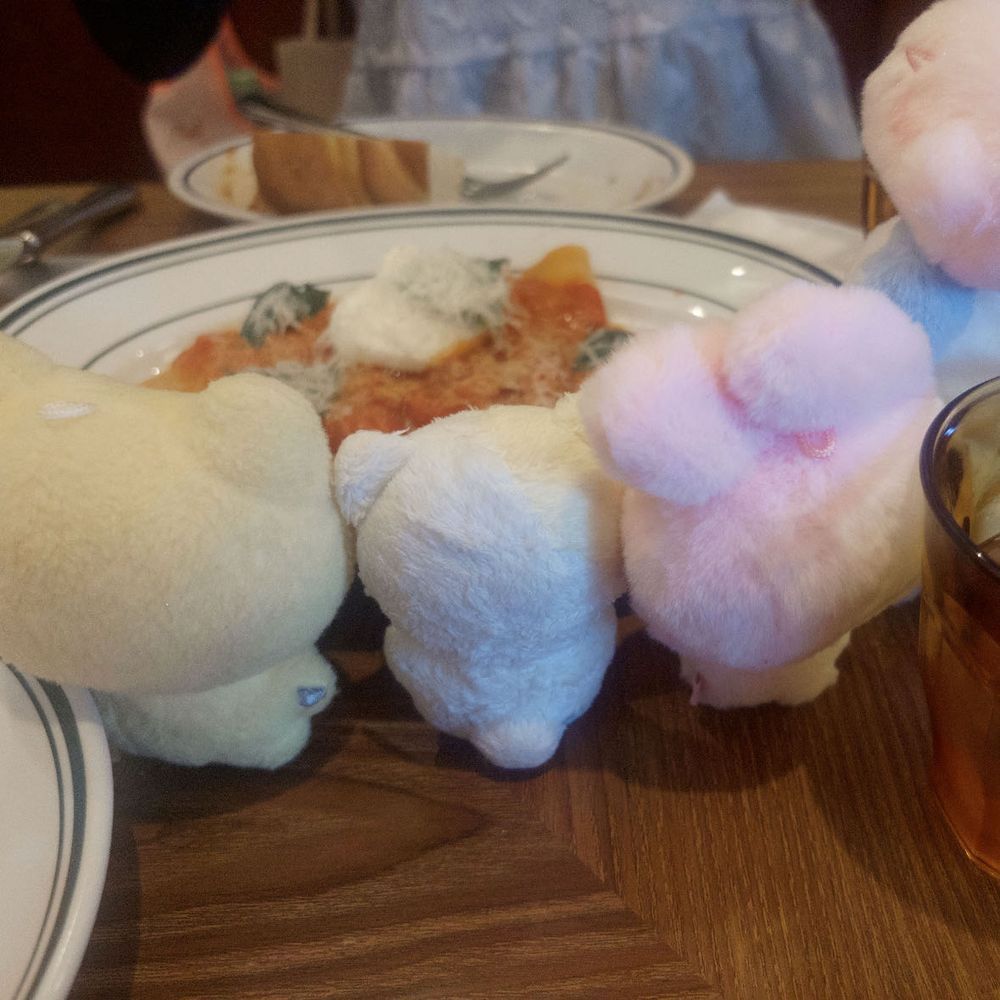 おいしそーう🍅🍝✨️
かめらまんからみんなにききたいことがあって…おれがだいりでしつもん！
たっくさん「ふわもこ」のおともだちがいるときって、どうやっておでかけのめんばーきめてる？
おれたちがじぶんでおでかけできたらいいんだけどな～( ฅ^ ._. ^ฅ )
あんまりたくさんでおでかけすると、なくしちゃったりしそうでこわいっていってて、ちょっときになったんだ～
