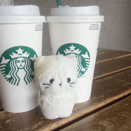 きょうはおそとでおさんぽしてきたんだ〜！くもり☁️だったけど、すずしくておさんぽにはちょうどよかったな✨ひとやすみにこーひーのんだときのおしゃしん📷