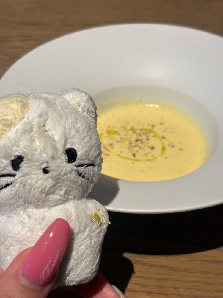 さいきんのおれ🐱